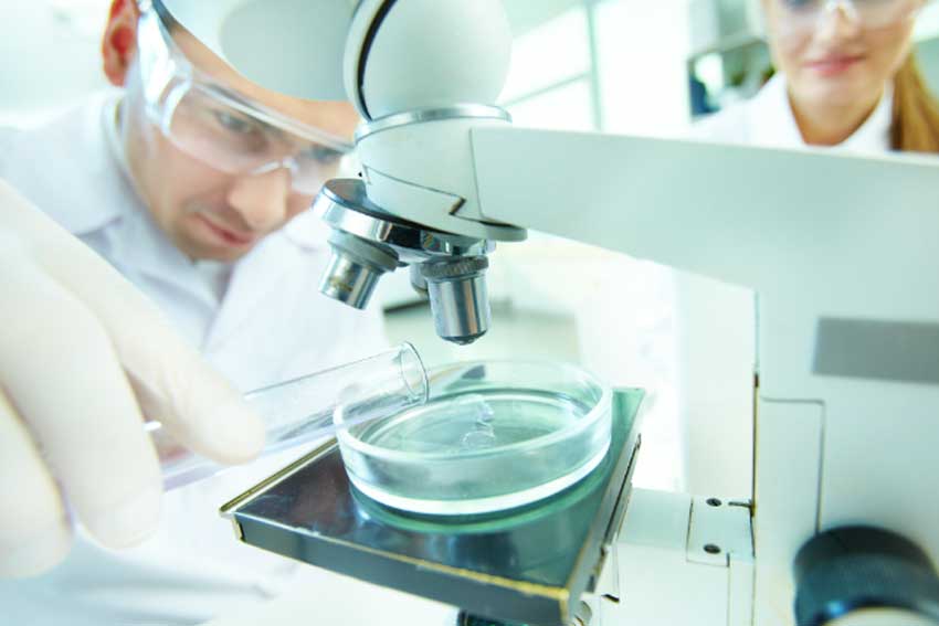 SEO for Laboratories Industry Banner